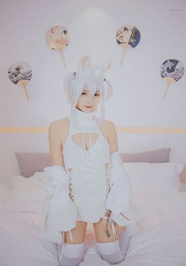 天天爽夜夜爽夜夜爽精品视频_超清HD高清在线观看