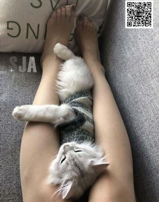 97se亚洲精品一区二区_1080P在线观看高清