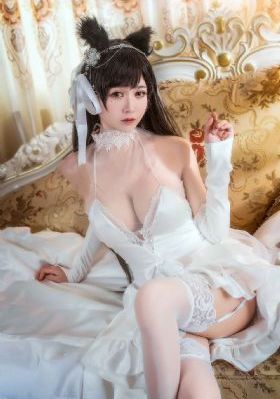 国产天然狗粮哪个好_4K迅雷电影在线